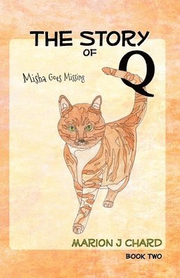 The Story of Q - Misha Goes Missing 1