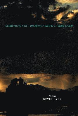 Kevin Dyer - Somehow Still Watered When It Was Over, Häftad