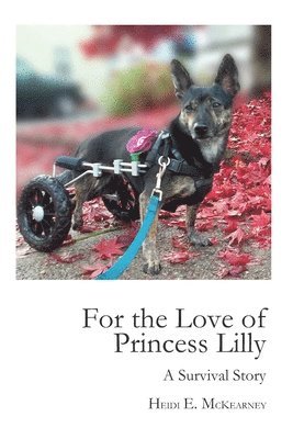 For the Love of Princess Lilly
