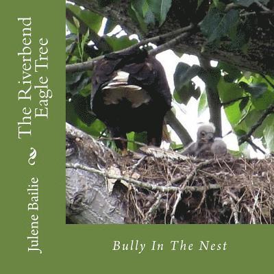 The Riverbend Eagle Tree: Bully In The Nest 1