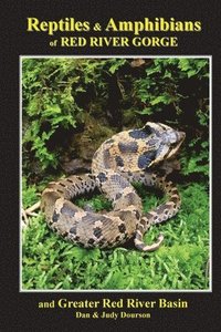 bokomslag Reptiles and Amphibians of Red River Gorge & Greater Red River Basin