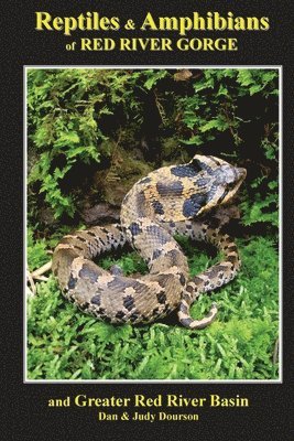 bokomslag Reptiles and Amphibians of Red River Gorge & Greater Red River Basin