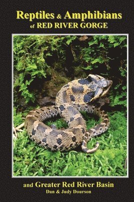 Reptiles and Amphibians of Red River Gorge & Greater Red River Basin 1