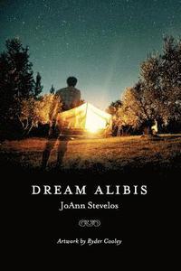 bokomslag Dream Alibis
