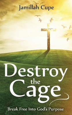 bokomslag Destroy the Cage: Break Free Into God's Purpose