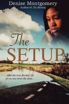 Denise E Montgomery, Denise E. Montgomery - Setup, Häftad