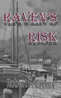 bokomslag Raven's Risk