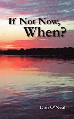 bokomslag If Not Now, When?