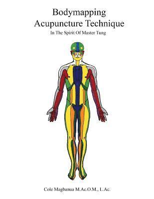 bokomslag Bodymapping Acupuncture Technique: In the Spirit of Master Tung