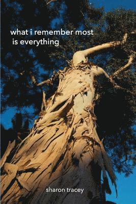 Sharon Tracey - What I Remember Most Is Everything, Häftad