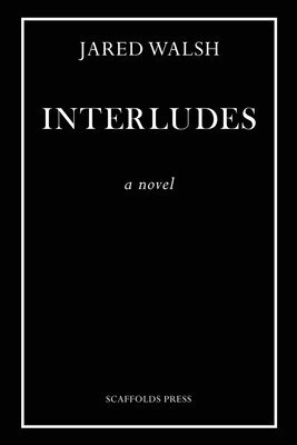 bokomslag Interludes