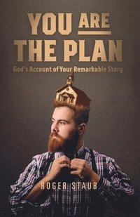 bokomslag You Are The Plan: God's account of your remarkable story