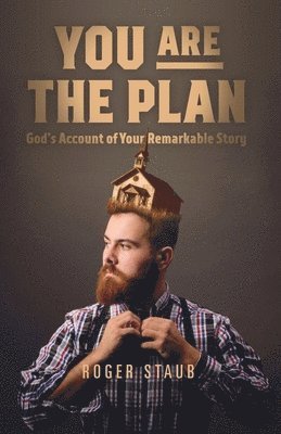 You Are The Plan: God's account of your remarkable story 1