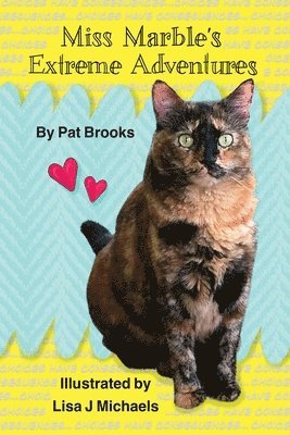 Miss Marble's Extreme Adventures