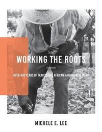 bokomslag Working The Roots: Over 400 Years of Traditional African American Healing