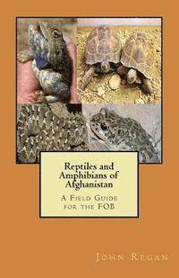 bokomslag Reptiles and Amphibians of Afghanistan: A Field Guide for the FOB
