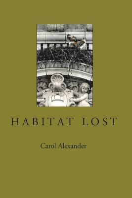 Habitat Lost