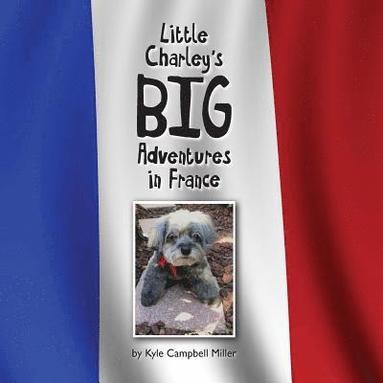 bokomslag Little Charley's Big Adventures in France