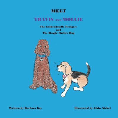 Meet Travis and Mollie, the Goldendoodle Pedigree and the Beagle Shelter Dog 1
