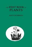 bokomslag The First Book of Plants