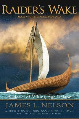 Raider's Wake: A Novel of Viking Age Ireland 1