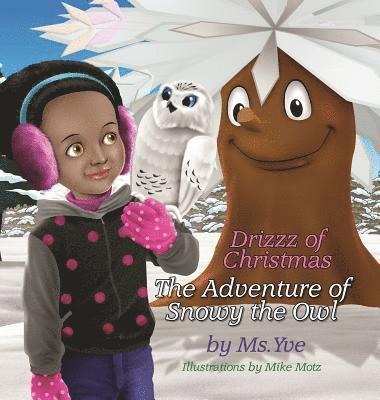 bokomslag The Adventure of Snowy the Owl
