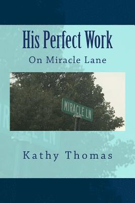 bokomslag His Perfect Work: On Miracle Lane