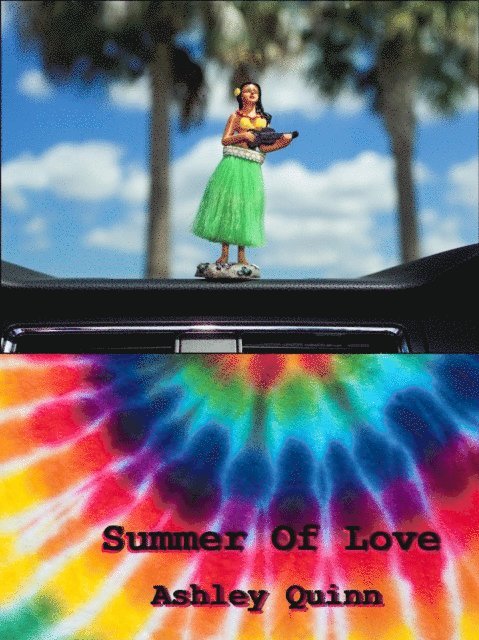Ashley Quinn - Summer Of Love, Häftad