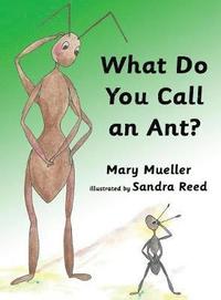 bokomslag What Do You Call an Ant?