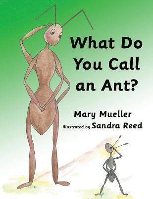 What Do You Call An Ant 1