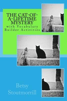 Betsy K. Stoutmorrill, Betsy K Stoutmorrill - The Cat-of-a-Lifetime Mystery: The Cat-of-a-lifetime Mystery, Häftad