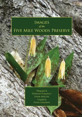 Images of the Five Mile Woods Preserve 1