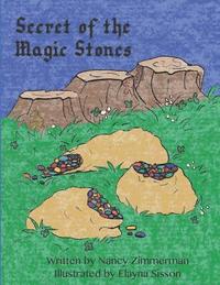 bokomslag Secret of the Magic Stones