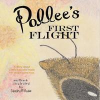 bokomslag Pollee's First Flight