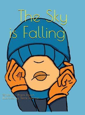 bokomslag Sky Is Falling