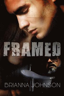 bokomslag Framed