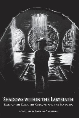 bokomslag Shadows Within the Labyrinth: Tales of the Dark, the Obscure, and the Fantastic
