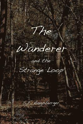 bokomslag The Wanderer and the Strange Loop