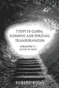 bokomslag 7 Steps to Global Economic and Spiritual Transformation