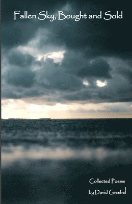 David Greshel - Fallen Sky, Bought and Sold, Häftad