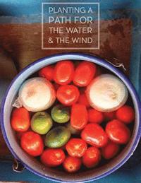 bokomslag Planting a Path for The Water & The Wind: Highland Maya of Guatemala Foodways