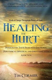 bokomslag Healing The Hurt