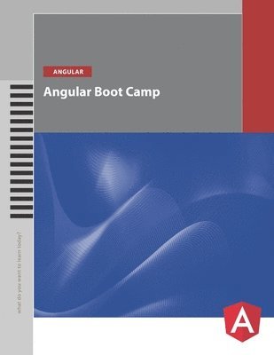 bokomslag Angular Boot Camp