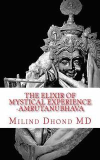 bokomslag The Elixir of Mystical Experience: Amrutanubhava