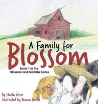 bokomslag A Family for Blossom