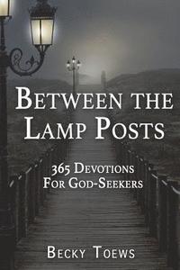 bokomslag Between the Lamp Posts: 365 Devotions for God-Seekers