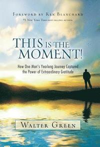 bokomslag This Is the Moment!: How One Man's Yearlong Journey Captured the Power of Extraordinary Gratitude