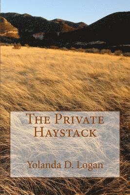 bokomslag The Private Haystack