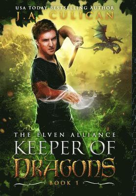 bokomslag Keeper of Dragons