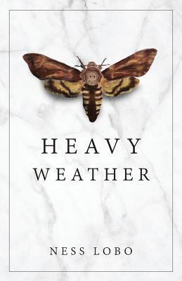 Heavy Weather 1